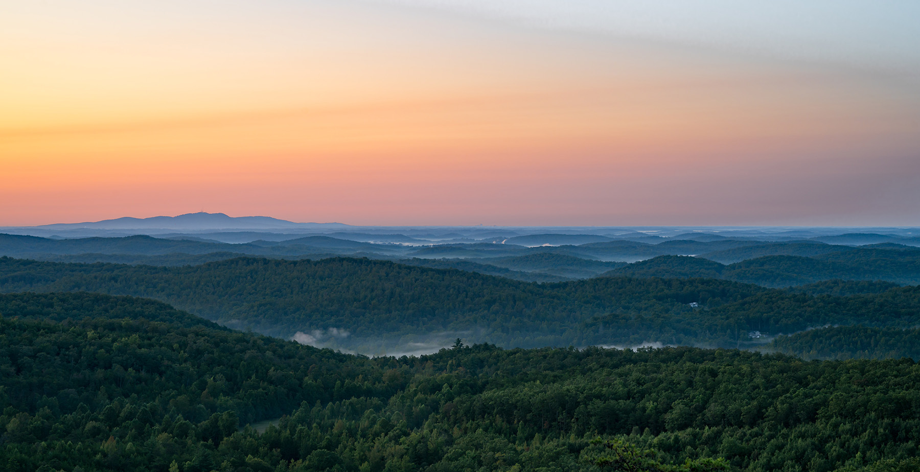 Brown Family Dentistry Group | Root Canals, Invisalign reg  and Digital Impressions